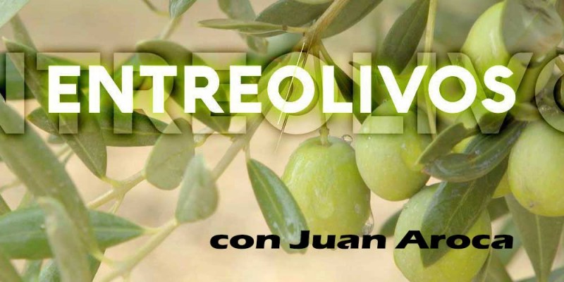 entreolivos-juan-aroca